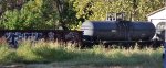 Appears the tank cars #s have weathered off....